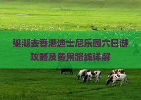 巢湖去香港迪士尼乐园六日游攻略及费用路线详解