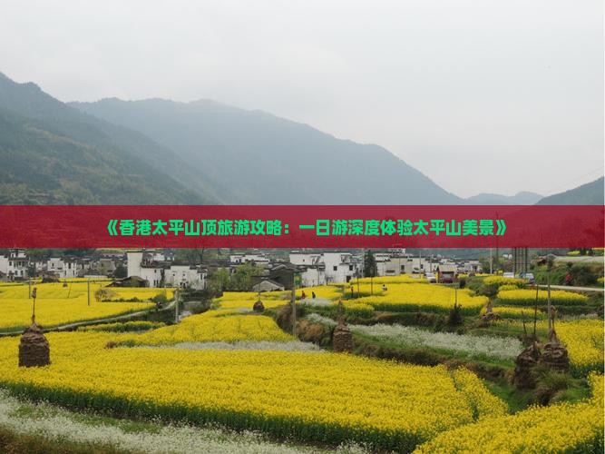 《香港太平山顶旅游攻略：一日游深度体验太平山美景》