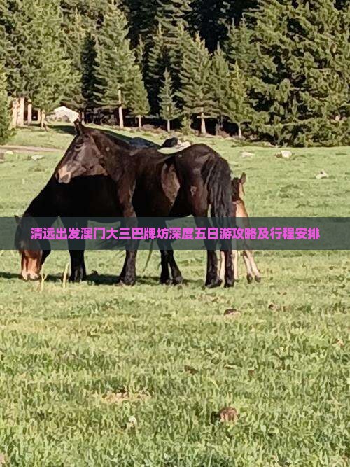 清远出发澳门大三巴牌坊深度五日游攻略及行程安排