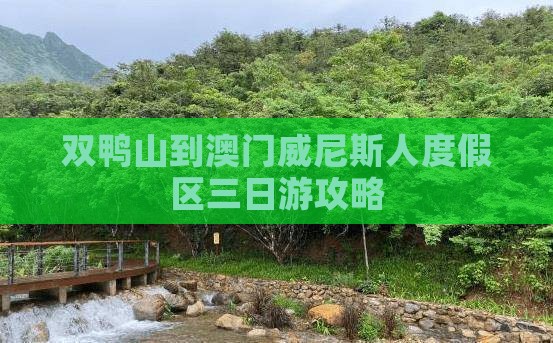 双鸭山到澳门威尼斯人度假区三日游攻略