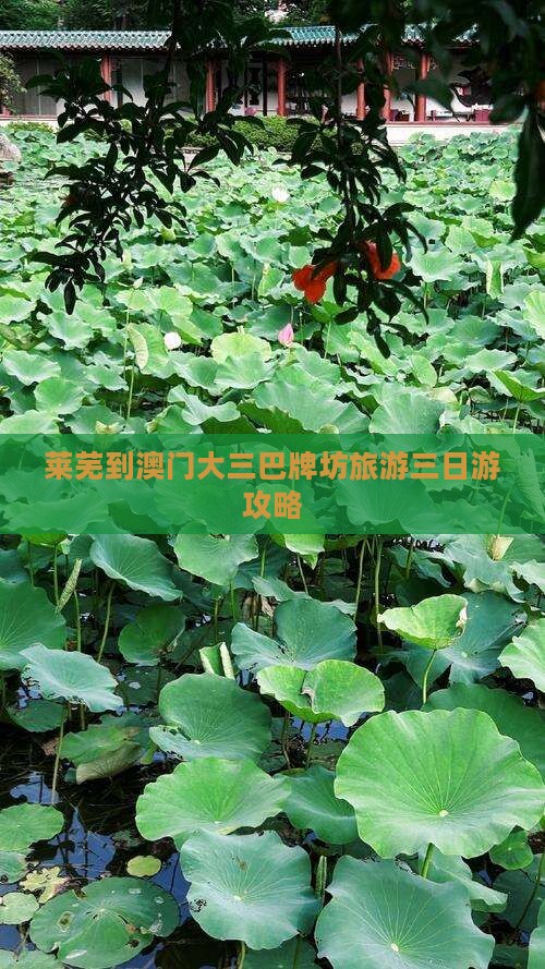 莱芜到澳门大三巴牌坊旅游三日游攻略