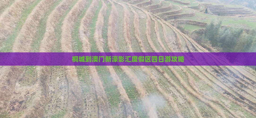 桐城到澳门新濠影汇度假区四日游攻略