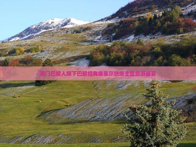 澳门巴黎人旗下巴黎经典埃菲尔铁塔主题旅游盛宴
