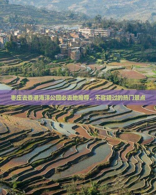 枣庄去香港海洋公园必去地推荐，不容错过的热门景点