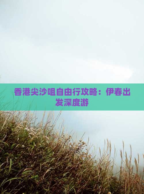 香港尖沙咀自由行攻略：伊春出发深度游