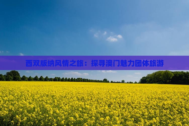 西双版纳风情之旅：探寻澳门魅力团体旅游