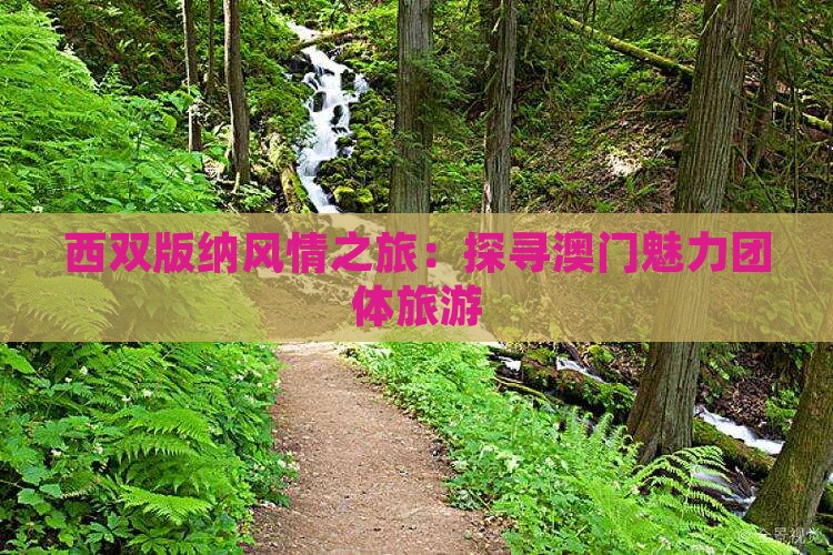 西双版纳风情之旅：探寻澳门魅力团体旅游