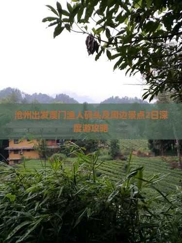 沧州出发澳门渔人码头及周边景点2日深度游攻略