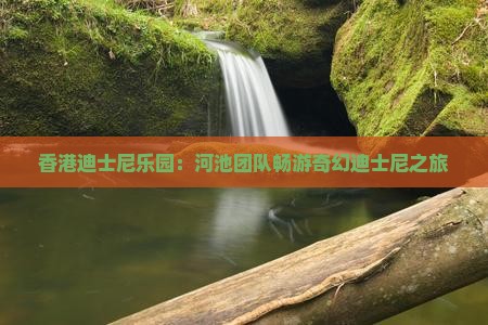 香港迪士尼乐园：河池团队畅游奇幻迪士尼之旅