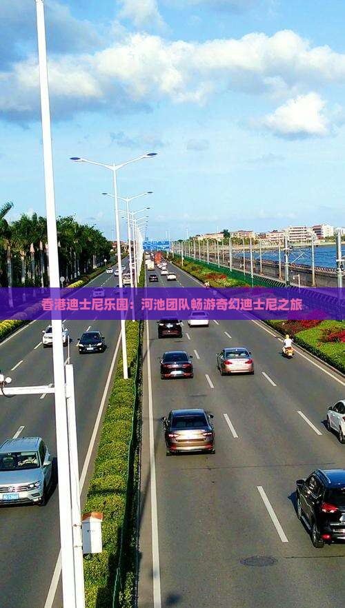 香港迪士尼乐园：河池团队畅游奇幻迪士尼之旅