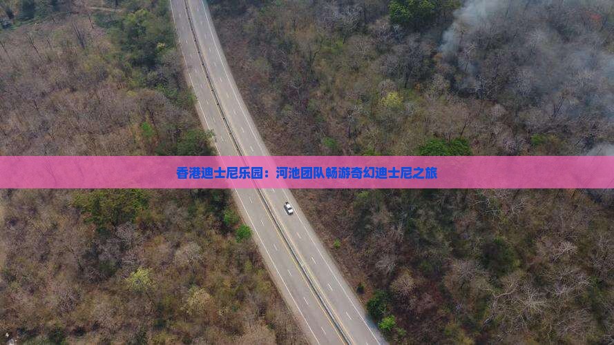 香港迪士尼乐园：河池团队畅游奇幻迪士尼之旅