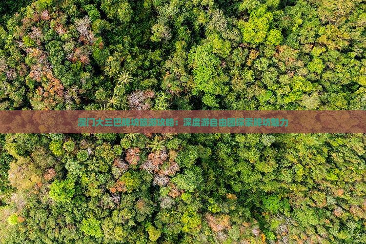 澳门大三巴牌坊旅游攻略：深度游自由团探索牌坊魅力