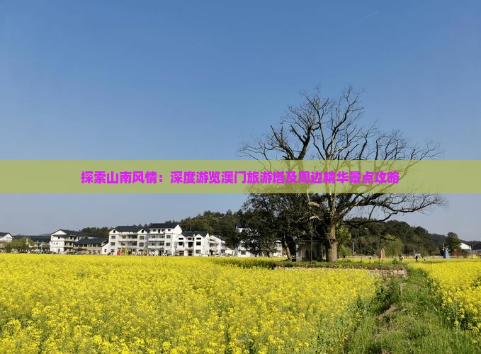 探索山南风情：深度游览澳门旅游塔及周边精华景点攻略