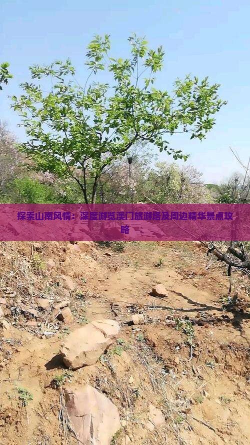 探索山南风情：深度游览澳门旅游塔及周边精华景点攻略