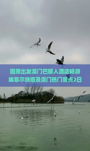 固原出发澳门巴黎人酒店畅游埃菲尔铁塔及澳门热门景点2日深度游