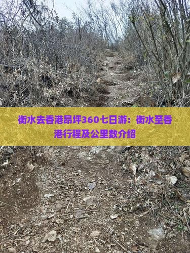 衡水去香港昂坪360七日游：衡水至香港行程及公里数介绍