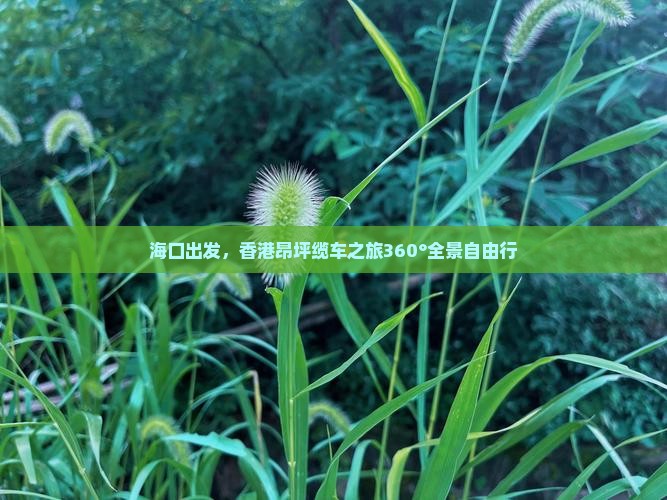 海口出发，香港昂坪缆车之旅360°全景自由行
