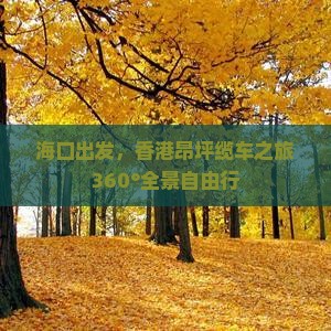 海口出发，香港昂坪缆车之旅360°全景自由行