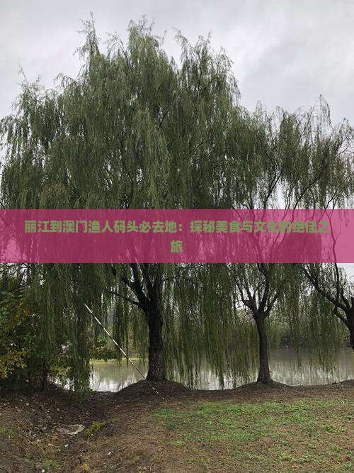 丽江到澳门渔人码头必去地：探秘美食与文化的绝佳之旅