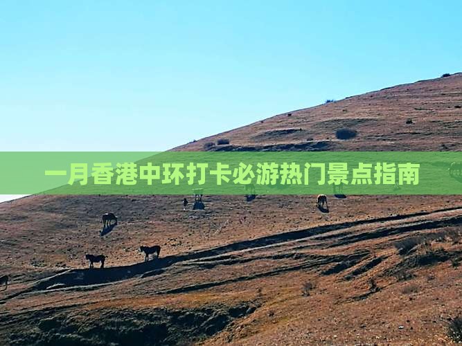 一月香港中环打卡必游热门景点指南