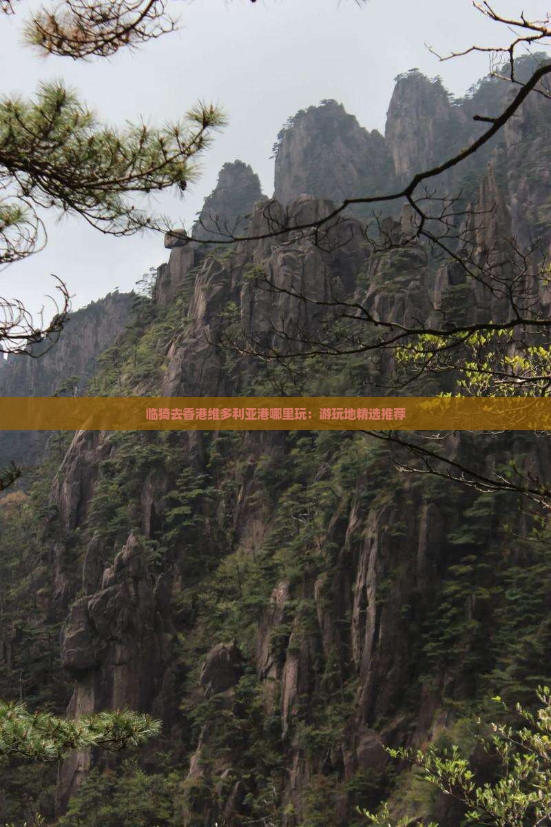 临猗去香港维多利亚港哪里玩：游玩地精选推荐