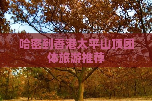 哈密到香港太平山顶团体旅游推荐
