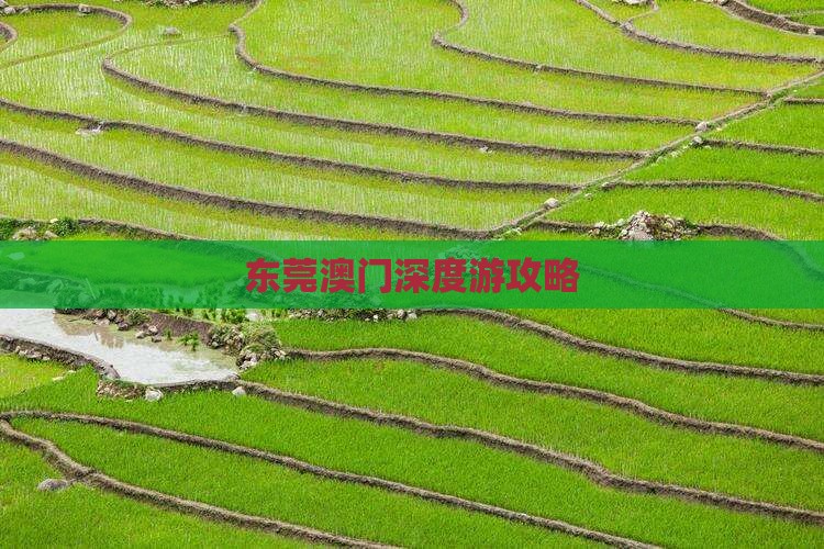 东莞澳门深度游攻略