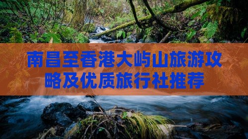 南昌至香港大屿山旅游攻略及优质旅行社推荐