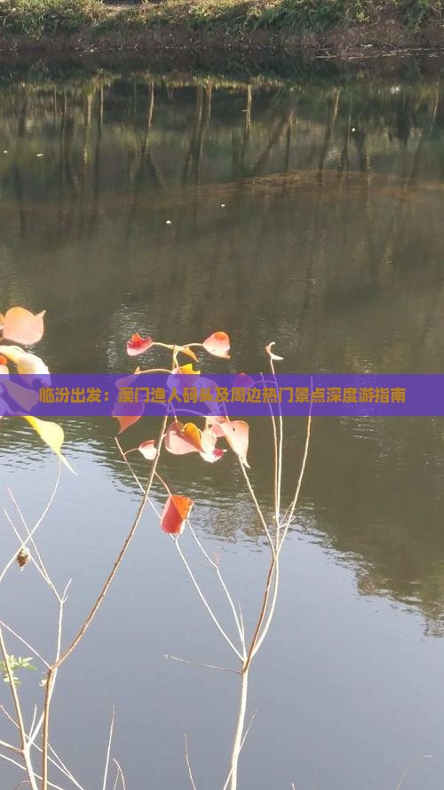 临汾出发：澳门渔人码头及周边热门景点深度游指南