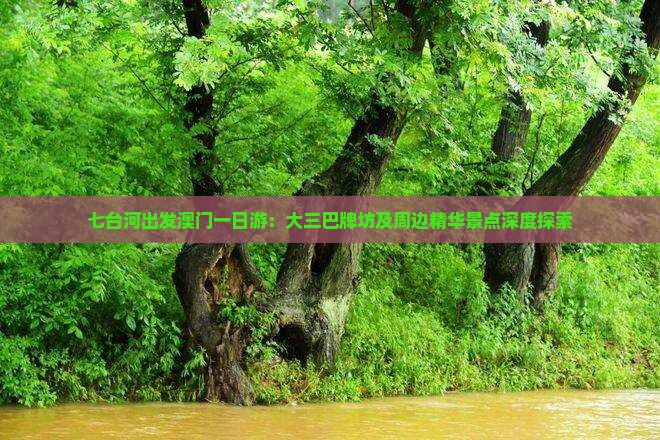 七台河出发澳门一日游：大三巴牌坊及周边精华景点深度探索