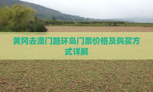 黄冈去澳门路环岛门票价格及购买方式详解