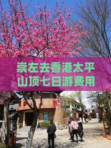 崇左去香港太平山顶七日游费用及路线详解