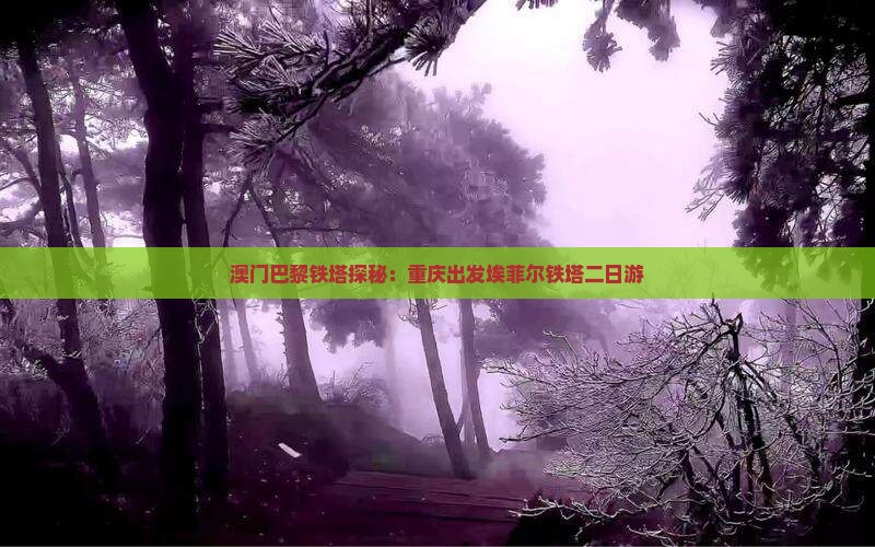 澳门巴黎铁塔探秘：重庆出发埃菲尔铁塔二日游