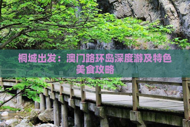 桐城出发：澳门路环岛深度游及特色美食攻略