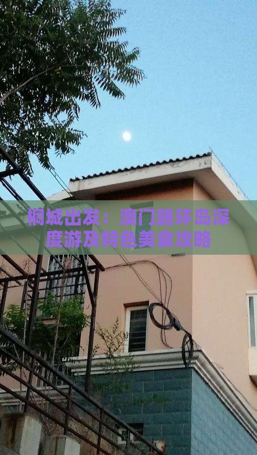 桐城出发：澳门路环岛深度游及特色美食攻略