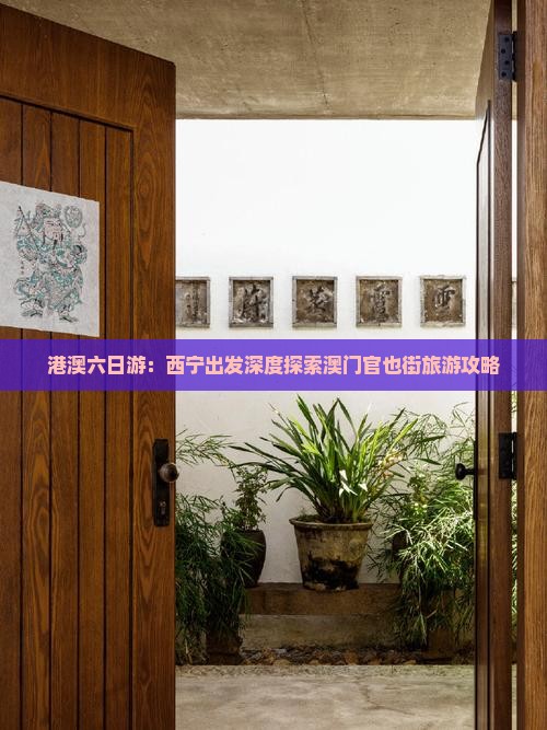 港澳六日游：西宁出发深度探索澳门官也街旅游攻略