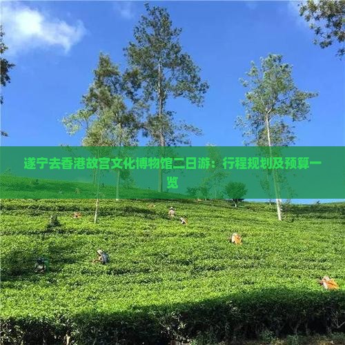 遂宁去香港故宫文化博物馆二日游：行程规划及预算一览