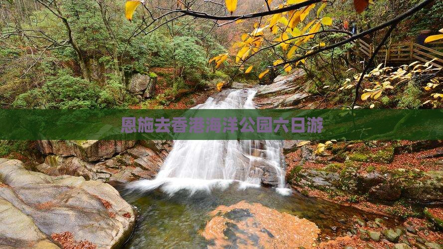 恩施去香港海洋公园六日游