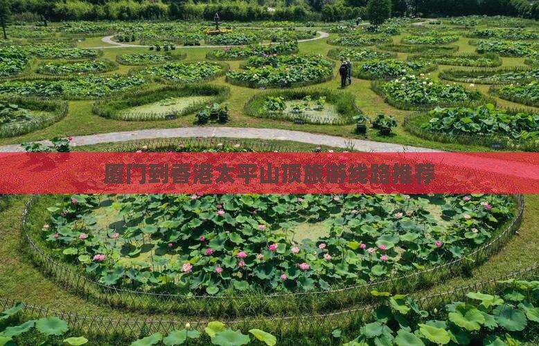 厦门到香港太平山顶旅游线路推荐