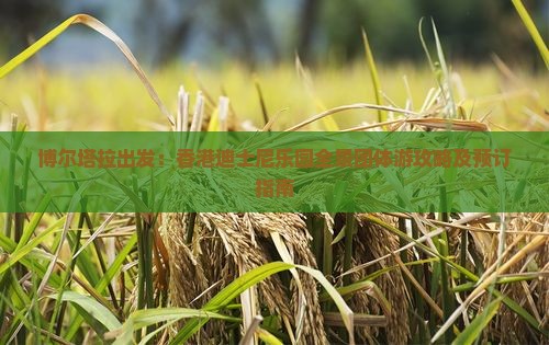 博尔塔拉出发：香港迪士尼乐园全景团体游攻略及预订指南