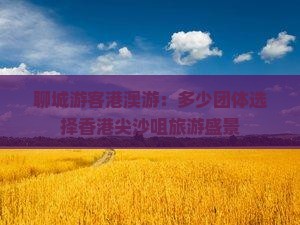 聊城游客港澳游：多少团体选择香港尖沙咀旅游盛景
