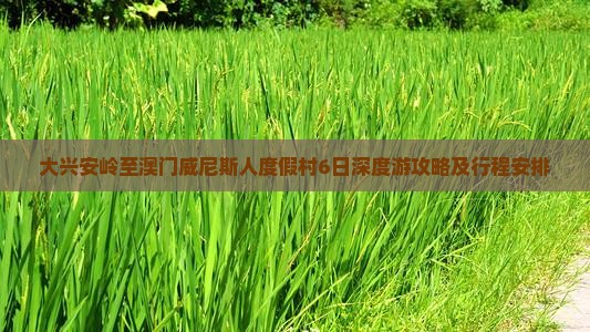 大兴安岭至澳门威尼斯人度假村6日深度游攻略及行程安排