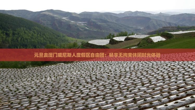 元旦去澳门威尼斯人度假区自由团：畅享无拘束休闲时光体验