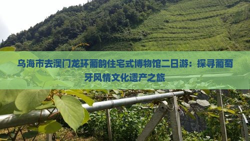 乌海市去澳门龙环葡韵住宅式博物馆二日游：探寻葡萄牙风情文化遗产之旅
