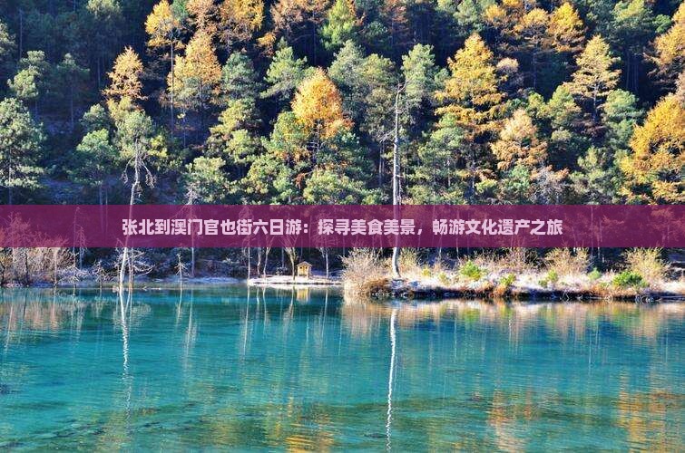 张北到澳门官也街六日游：探寻美食美景，畅游文化遗产之旅