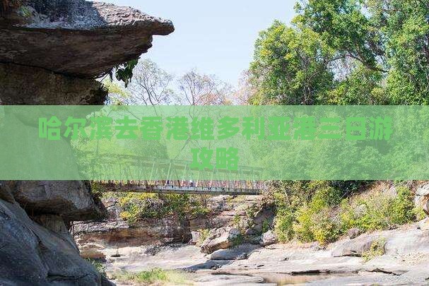 哈尔滨去香港维多利亚港三日游攻略