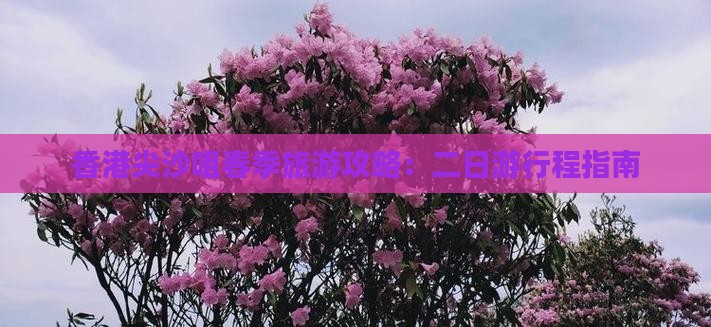 香港尖沙咀春季旅游攻略：二日游行程指南