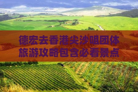 德宏去香港尖沙咀团体旅游攻略包含必看景点