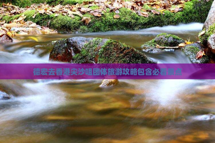 德宏去香港尖沙咀团体旅游攻略包含必看景点