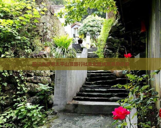 阳江去香港太平山顶旅行社乘车路线及费用详解